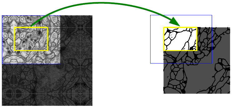 Fig. 2. 임의의 대형 이미지(여기서는 EM 스택의 신경 구조 세그멘테이션)의 원활한 세그멘테이션을 위한 overlap-tile 전략. 노랑 영역에서의 세그멘테이션 예측에 대한 입력으로 파랑 영역의 이미지 데이터를 필요로 한다. 부족한 입력 데이터는 미러링으로 외삽했다.
