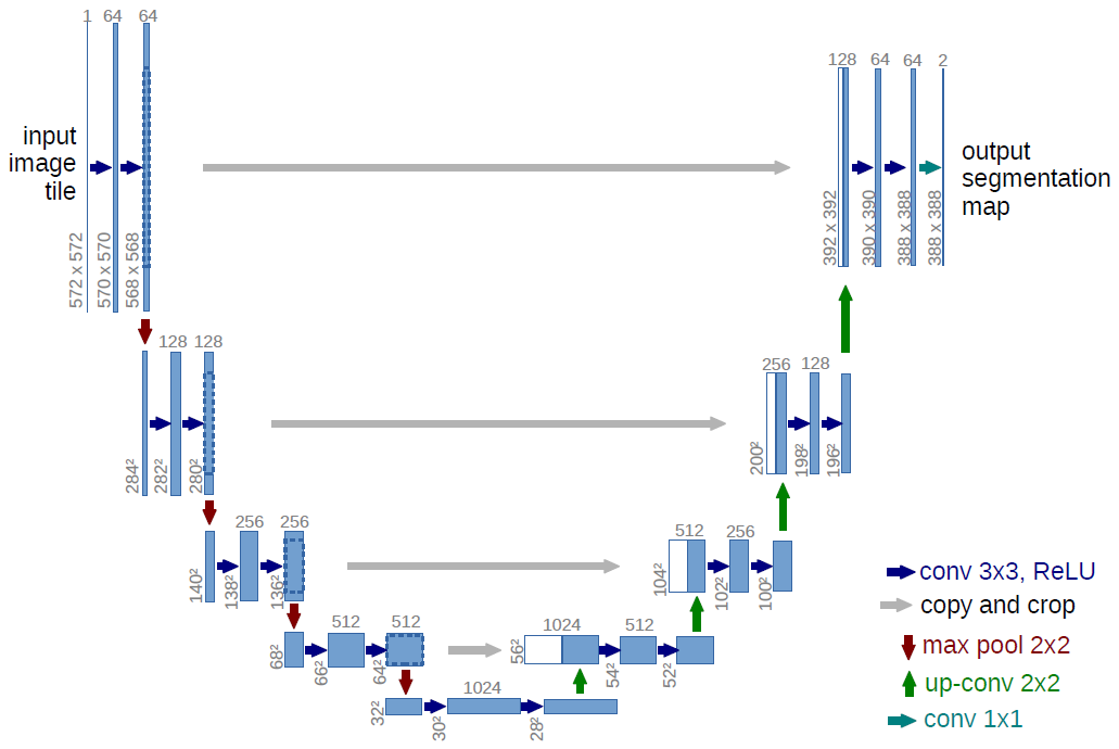 Fig. 1. U-net 구조 (최저 해상도가 32×32인 예제). 각 파랑색 박스는 다중-채널 특성 맵에 해당한다. 채널 개수는 박스 위에 적혀 있다. x-y-크기는 박스의 왼쪽 아래 모서리에 있다. 흰색 박스는 복사된 특성 맵을 표시한다. 화살표들은 서로 다른 연산을 의미한다.
